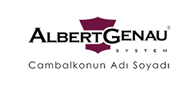 Albert Genau Web Tasarımı Internet Sitesi